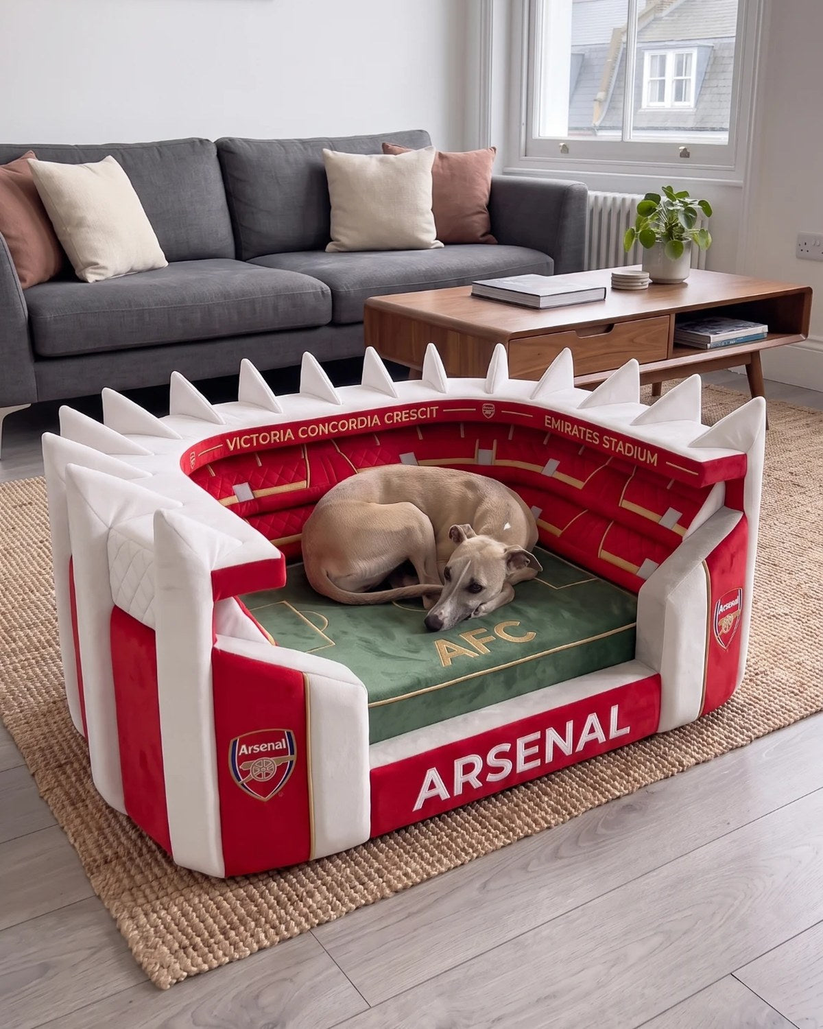 Panier Stade WoufBall
