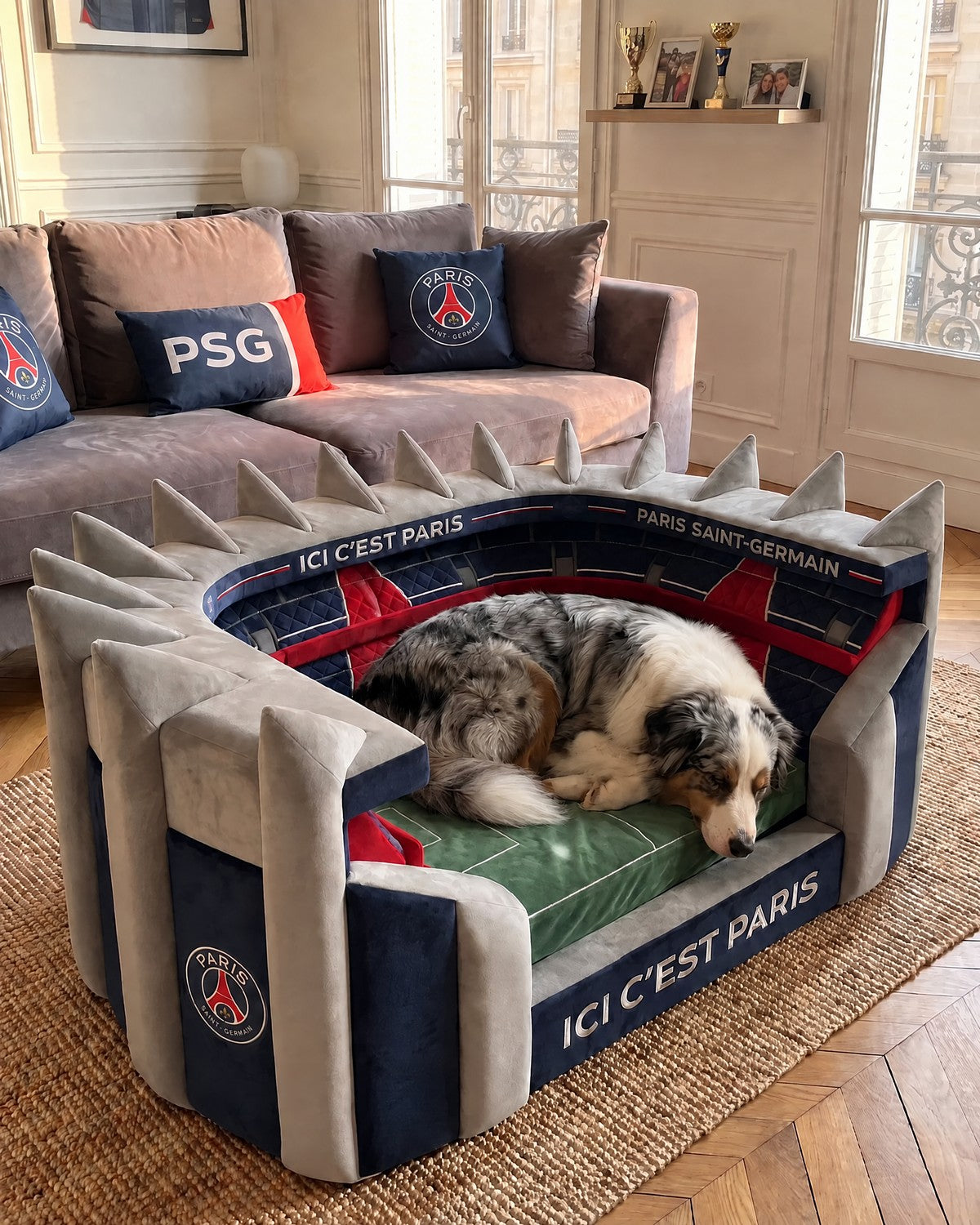 Panier Stade WoufBall