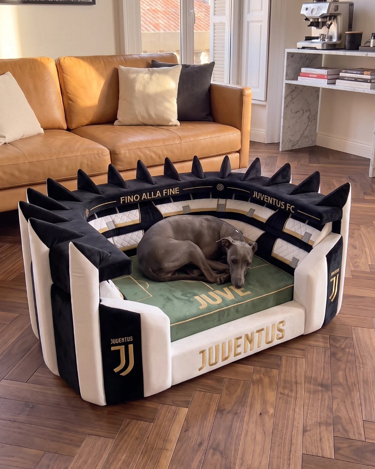 Panier Stade WoufBall